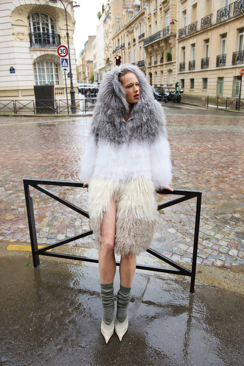 Petit Poucet Rêveur